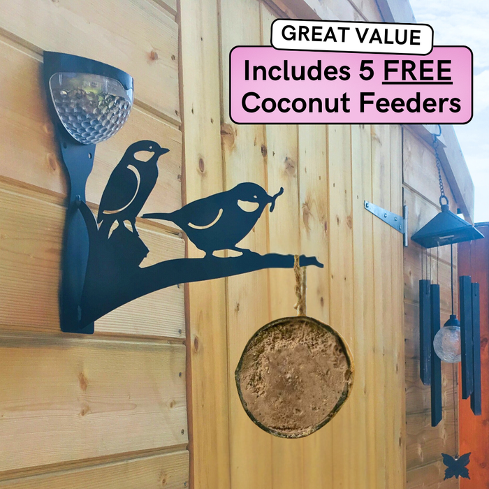 Solar Bird Feeder Starter Kit