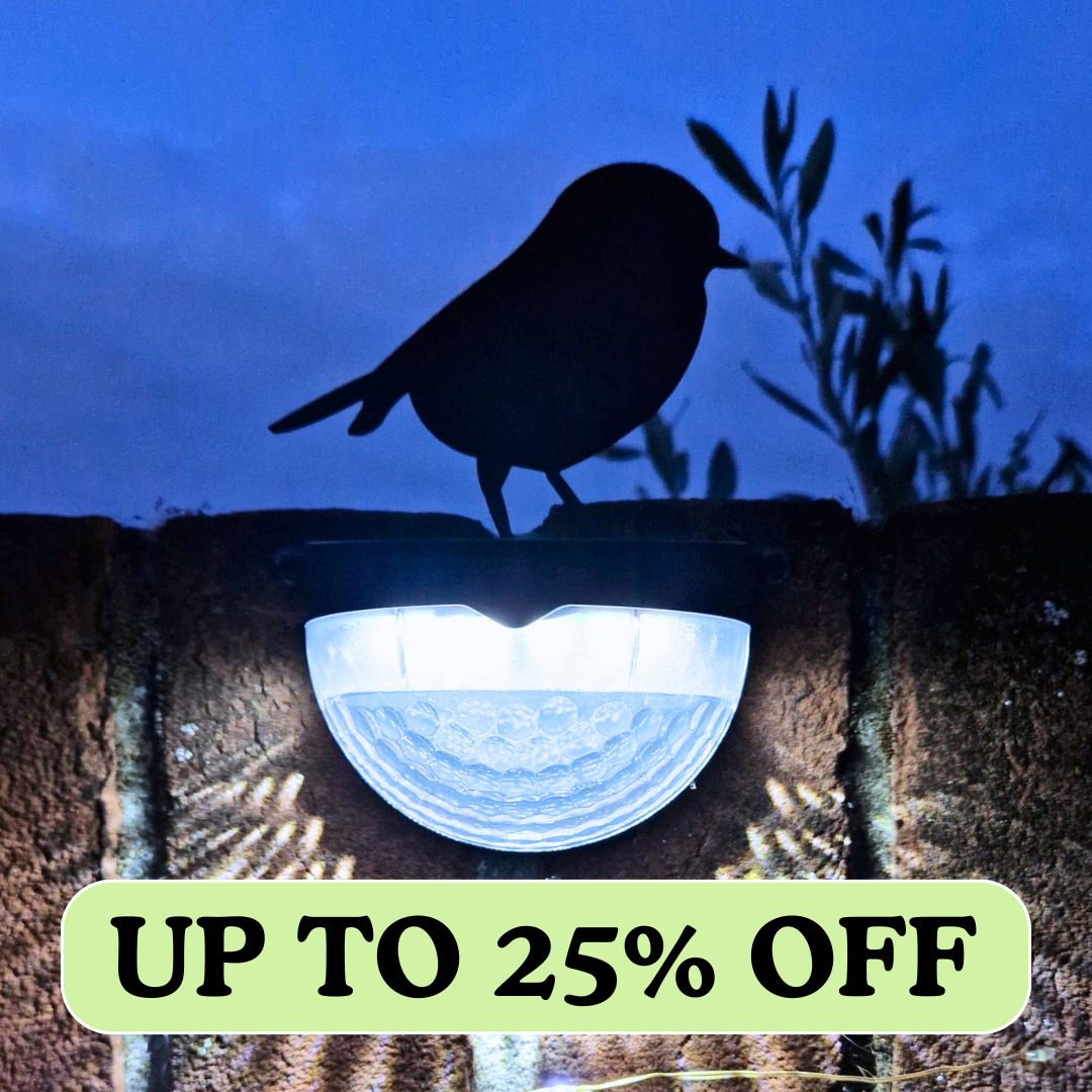 More Items | Flory's Online