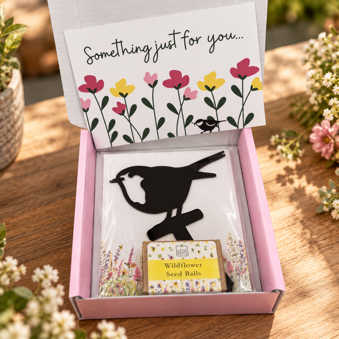 Robin Stake + Wildflower Seed balls Gift Set