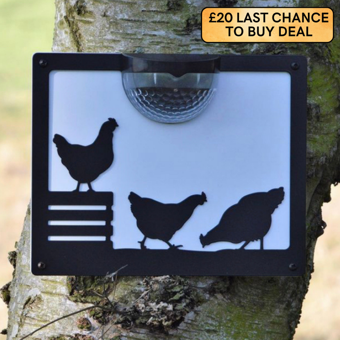 Chicken Solar Light Wall Plaque