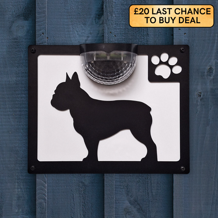 French Bulldog B Solar Light Wall Plaque