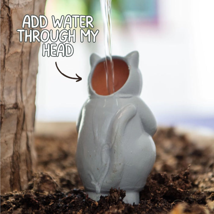 Grow with the Flow Kitty - Terracotta Watering Spikes