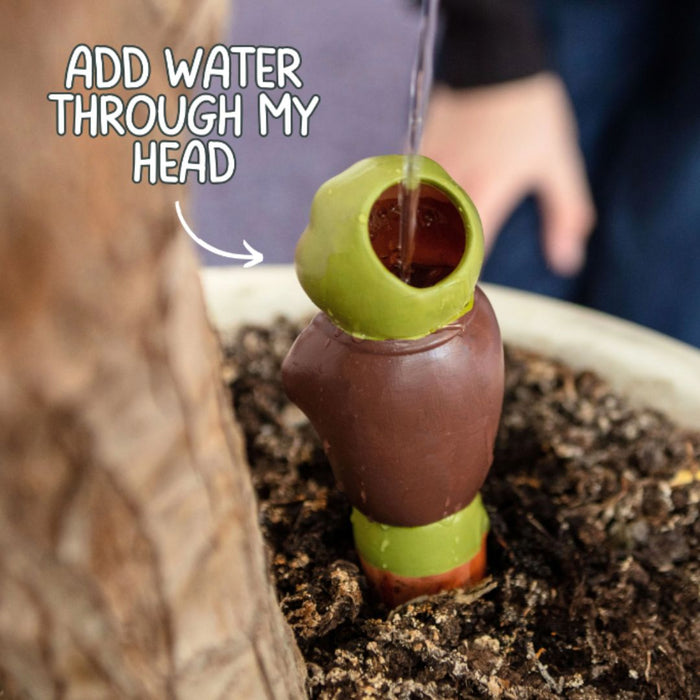 Grow with the Flow Toad - Terracotta Watering Spikes