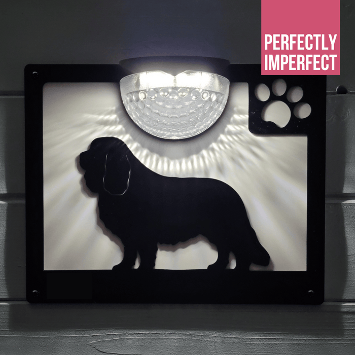 IMPERFECT - Cavalier King Charles Spaniel Dog Solar Light Wall Plaque