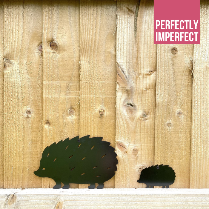 IMPERFECT- Hedgehog Wall Art (large or small)