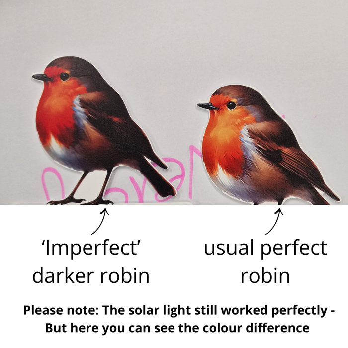 IMPERFECT - Real Robin Solar Powered LED Light