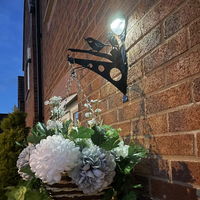 Solar Bird Feeder Starter Kit