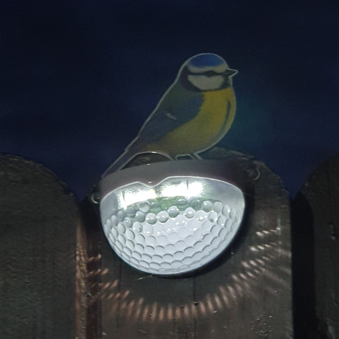 Real Blue Tit Solar Powered LED Light