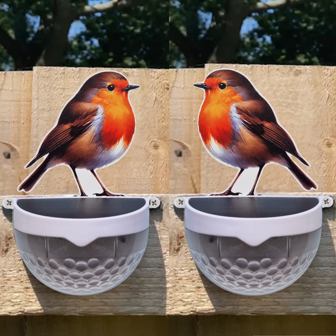Set of 2 Real Robin Solar Powered LED Light — Flory's Online
