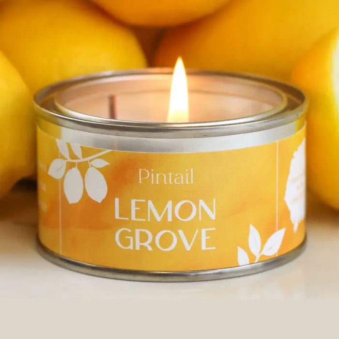 Lemon Grove Paint Pot Candle