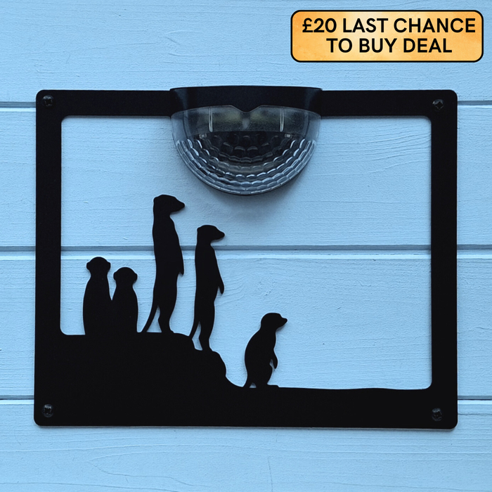 Meerkat Solar Light Wall Plaque