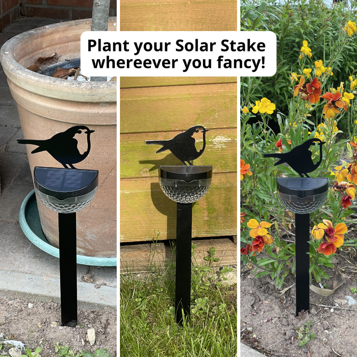 NEW! Robin Metal Solar Stake