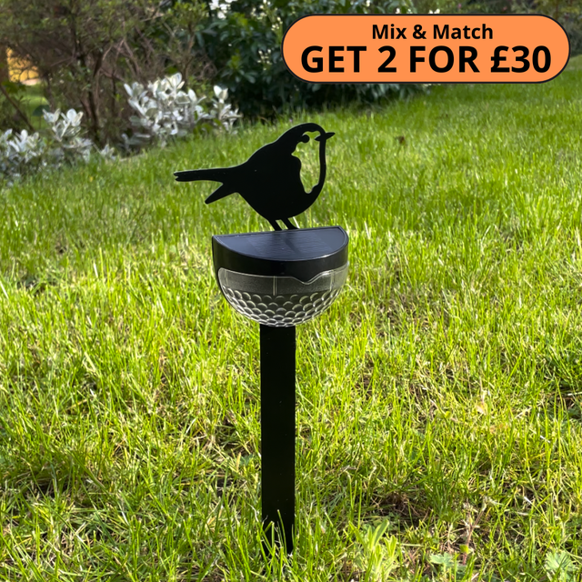 NEW! Robin Metal Solar Stake