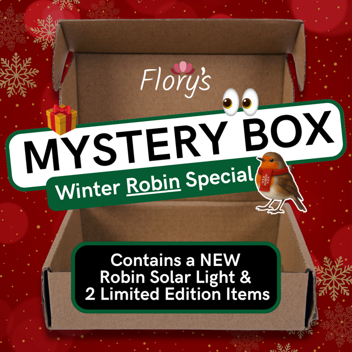 The Winter Robin Mystery Box