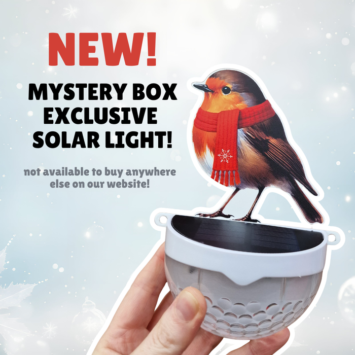 The Winter Robin Mystery Box