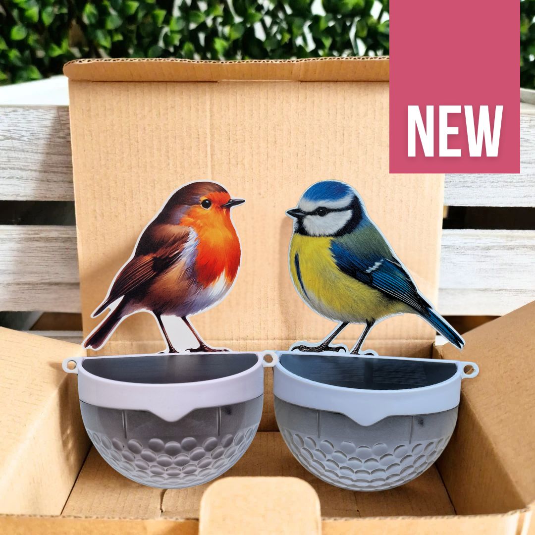 Set of 2 - Real Robin & Blue Tit Solar Powered LED Lights — Flory's Online