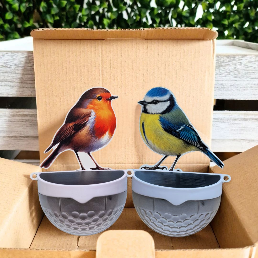 Set of 2 - Real Robin & Blue Tit Solar Powered LED Lights — Flory's Online