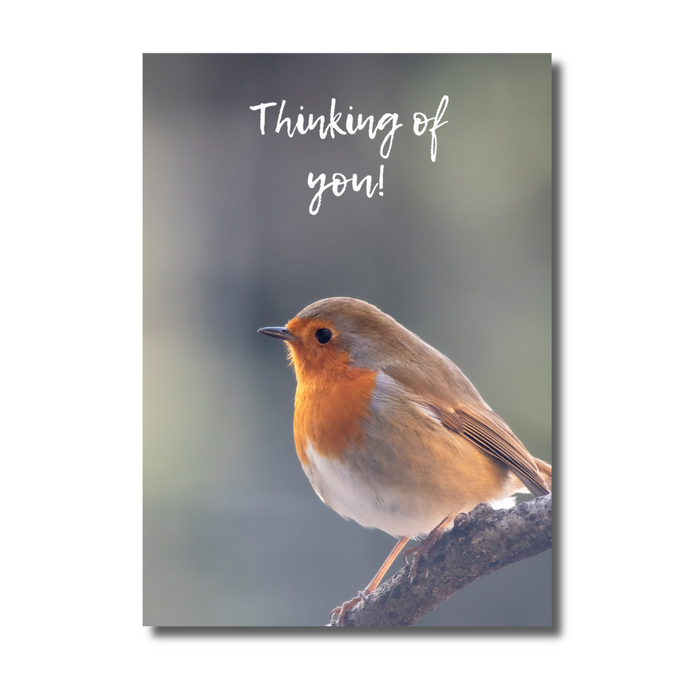 A6 Robin Thinking Of You Card
