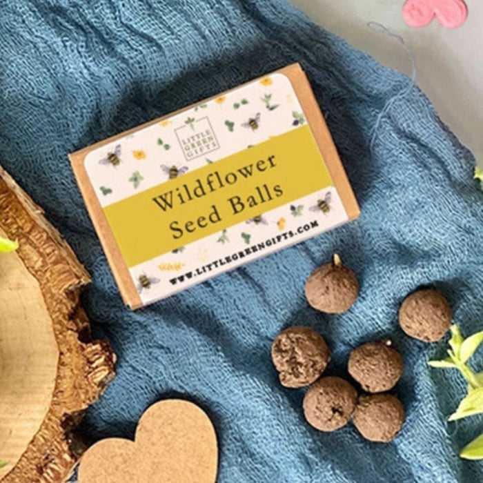 Robin Stake + Wildflower Seed balls Gift Set
