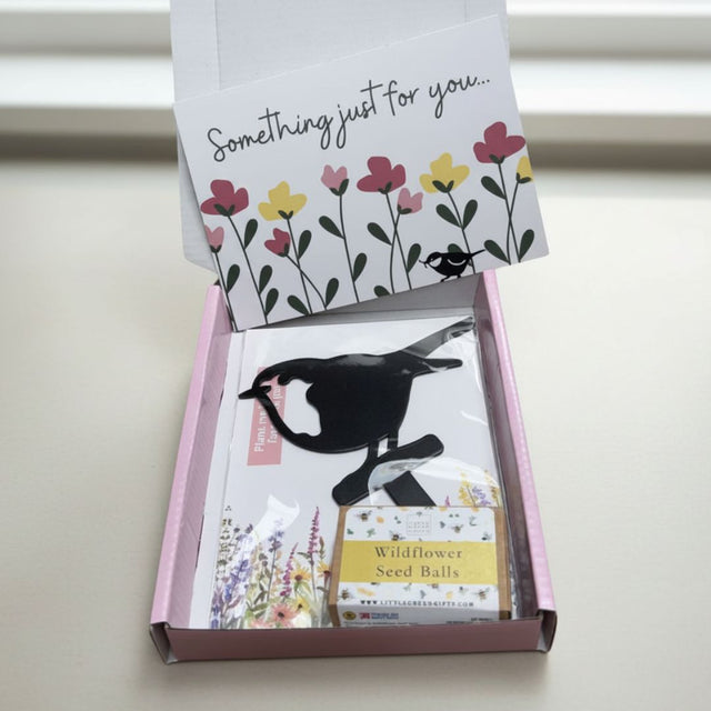 Robin Stake + Wildflower Seed balls Gift Set