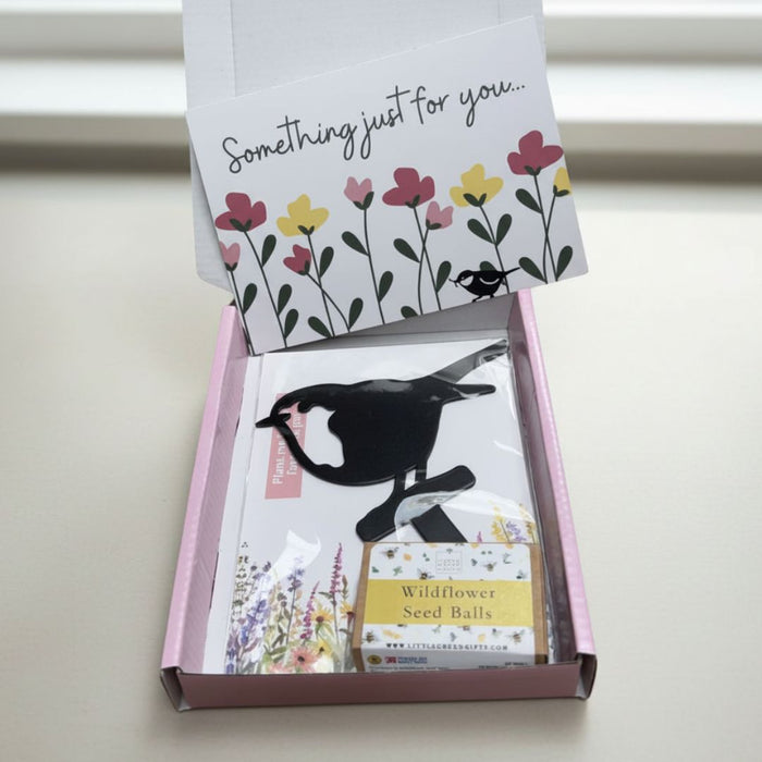 Robin Stake + Wildflower Seed balls Gift Set