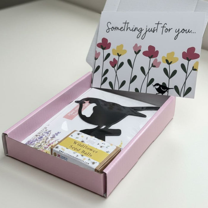 Robin Stake + Wildflower Seed balls Gift Set