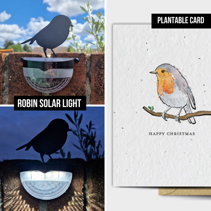 Christmas Robin Seeded Card Gift Set