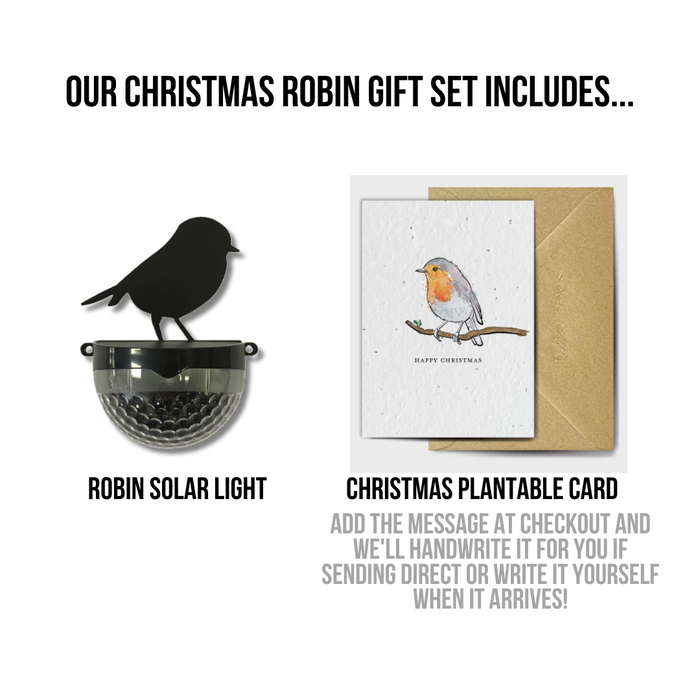 Christmas Robin Seeded Card Gift Set
