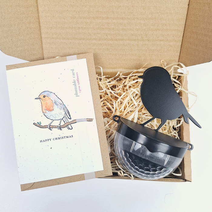 Christmas Robin Seeded Card Gift Set