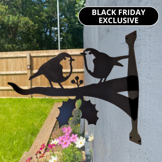 Black Friday EXCLUSIVE - Winter Robin Bird Feeder Gift Set