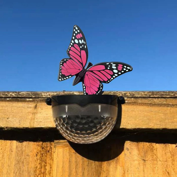 Coloured Butterfly Solar Powered LED Light (Pink/Orange/Blue)