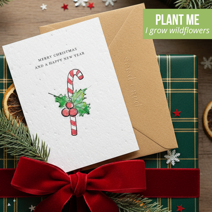 Merry Christmas and a Happy New Year Seeded Card