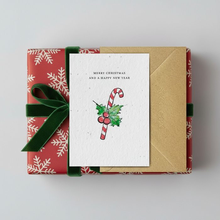 Merry Christmas and a Happy New Year Seeded Card