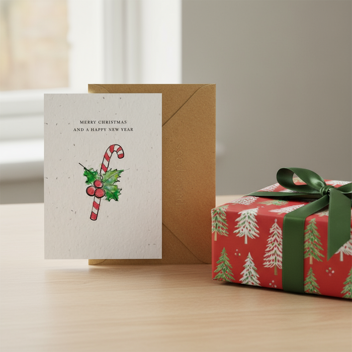 Merry Christmas and a Happy New Year Seeded Card