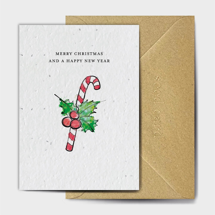 Merry Christmas and a Happy New Year Seeded Card