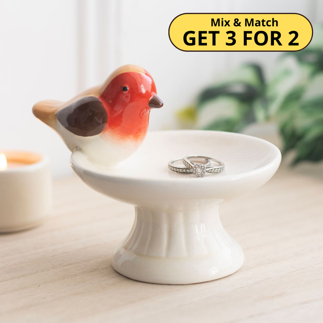 Robin Bird Bath Trinket Dish