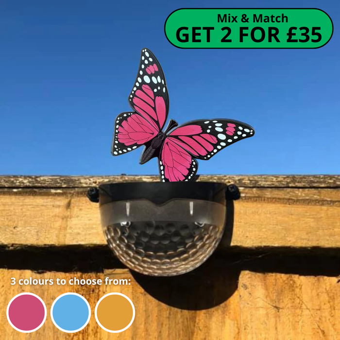 Coloured Butterfly Solar Powered LED Light (Pink/Orange/Blue)