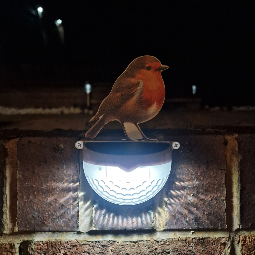 Set of 2 - Real Robin & Blue Tit Solar Powered LED Lights — Flory's Online