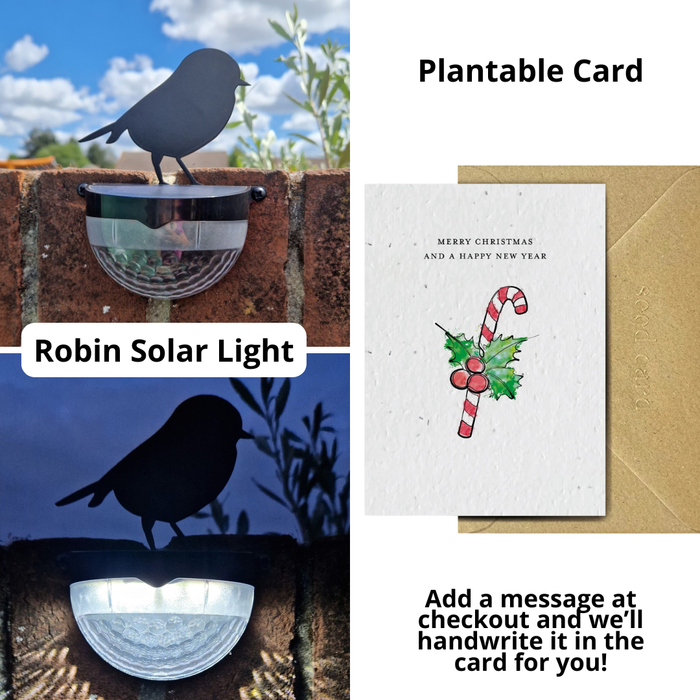 Merry Christmas Seeded Card Gift Set