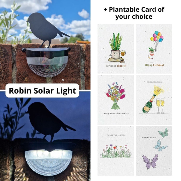 Plantable Card Robin Gift Sets- choose from 6 cards
