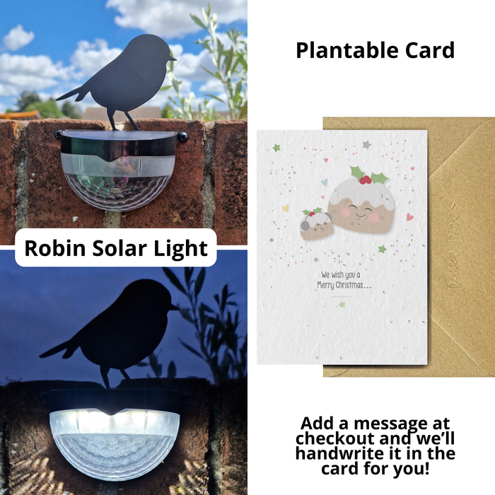 We Wish You A Merry Christmas Seeded Card Gift Set