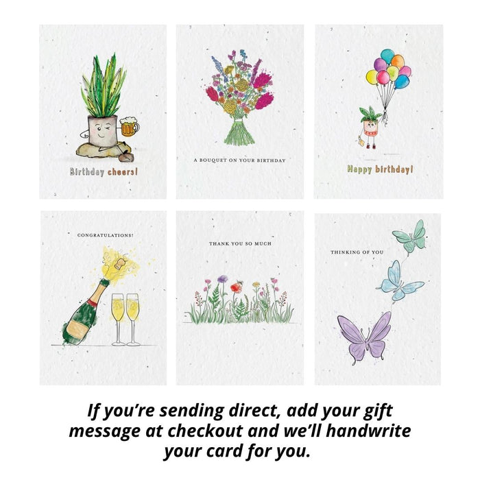 Plantable Card Robin Gift Sets- choose from 6 cards