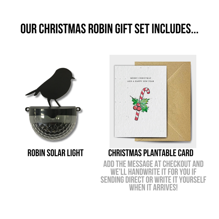 Merry Christmas Seeded Card Gift Set