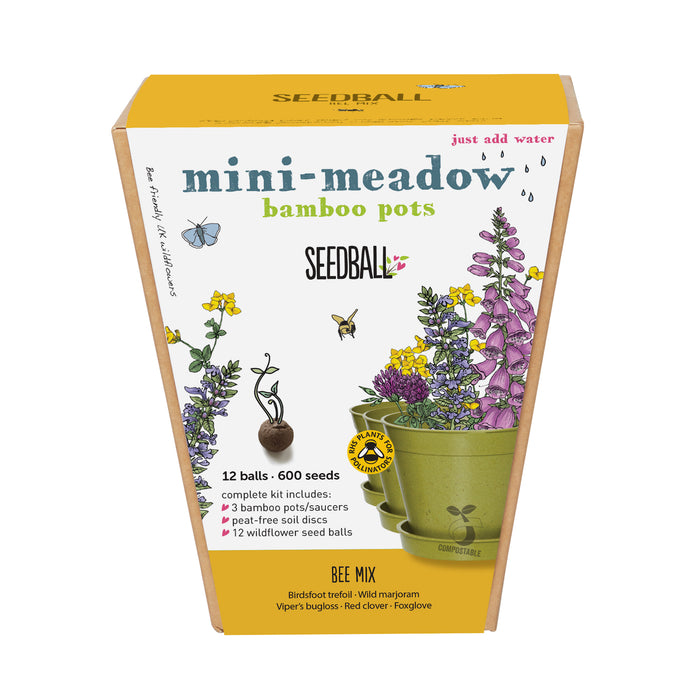 Bee Mix- Mini Meadow Pots
