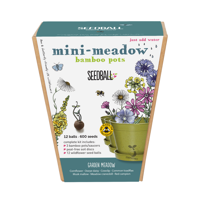 Garden Meadow Mix- Mini Meadow Pots