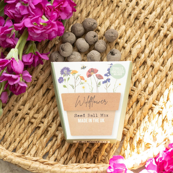 Robin Stake + Wildflower Seed balls Gift Set