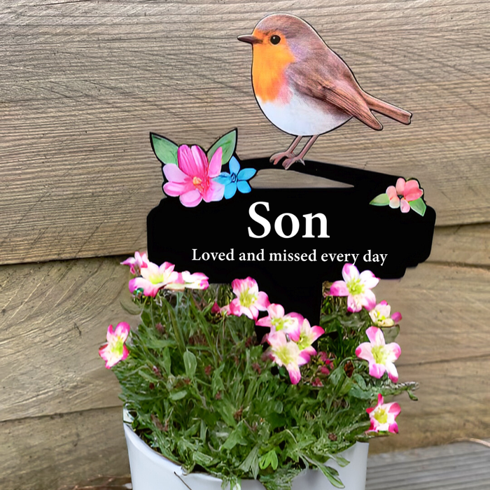 'Son' Large Robin Pot Stake