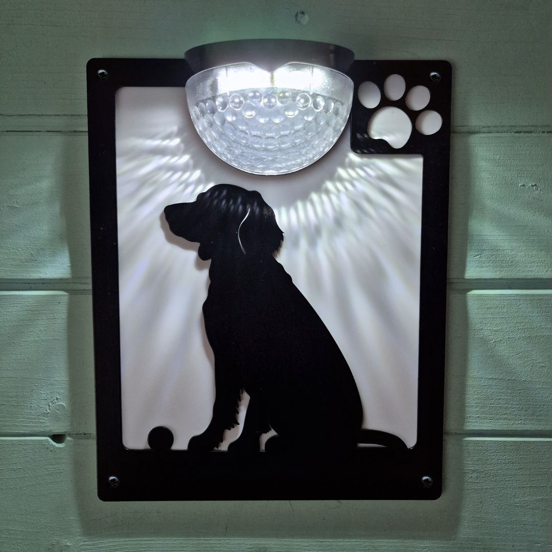 Springer Spaniel with ball Dog Solar-Powered LED Light Wall Shed Plaque ...