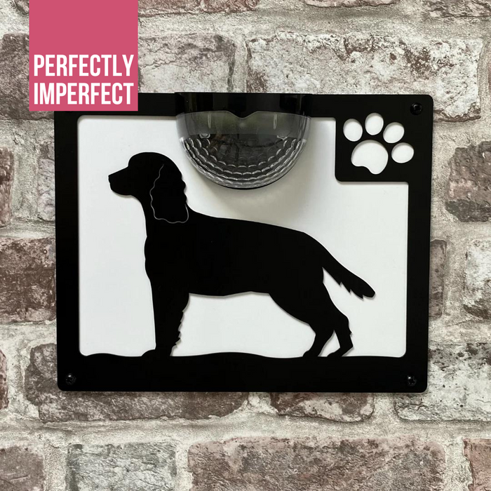 IMPERFECT- Springer Spaniel Dog Solar Light Wall Plaque