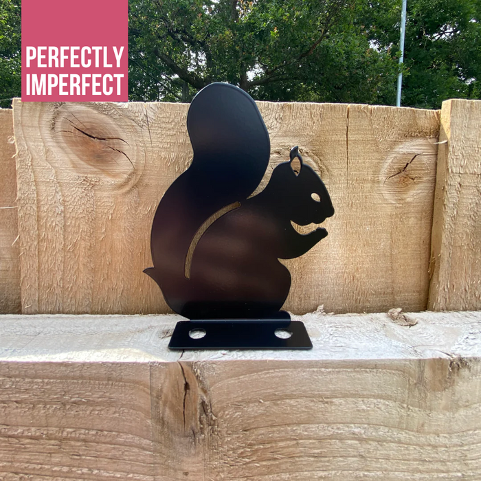 IMPERFECT- Squirrel Fence Topper
